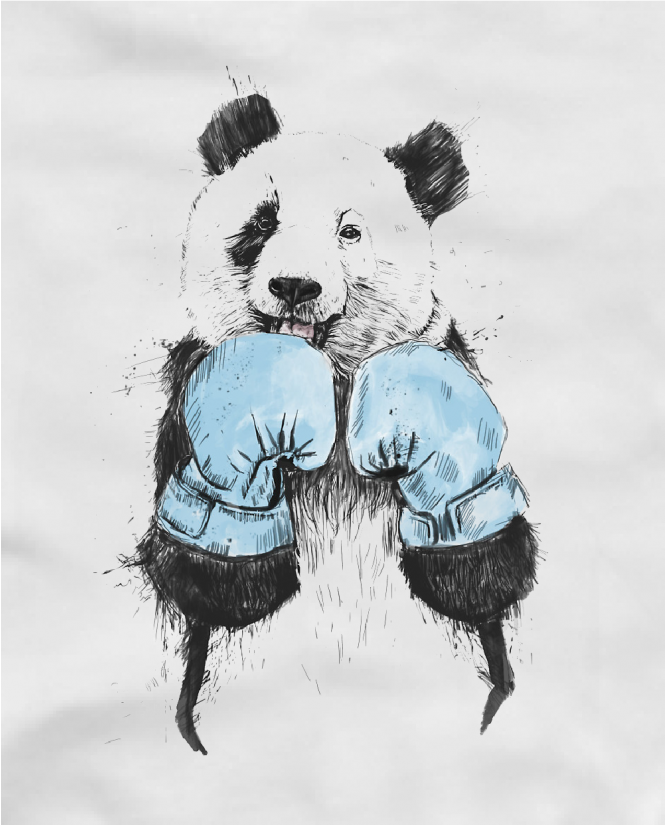 Boxing panda